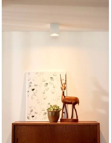 Lucide 09101/01/31 - Spotlámpa BODI 1xGU10/50W/230V