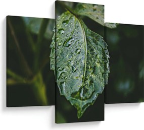 Kép - cseppek a levelen (90x60 cm)