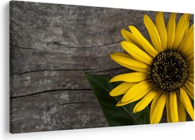 Kép - Napraforgó virága (90x60 cm)