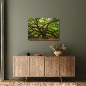 Üveg kép - Zöld fa (70x50 cm)