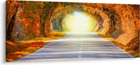 Kép - kapu a fák koronájából (120x50 cm)