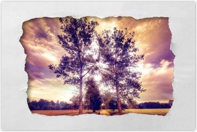 Poszterek 60x40 Fák az út mellett