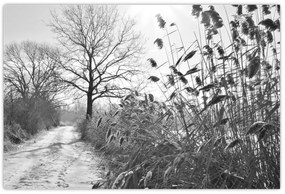 Kép - Mezők télen (90x60 cm)