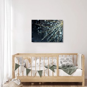 Kép - Virág pókhálóval (üvegen) (70x50 cm)