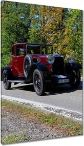 Vászonkép 80x120 Autó-Motor