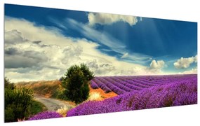 Levendula mező képe (120x50 cm)