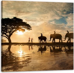 Vászonkép Emberek az elefántokon Naplemente Afrika Szavanna 80X80 cm