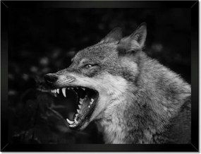 Poszterek keretben 40x30 Természet Emberség