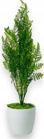 Művirág cserépben, Ciprus Tuja, műfenyő irodába, 75 cm