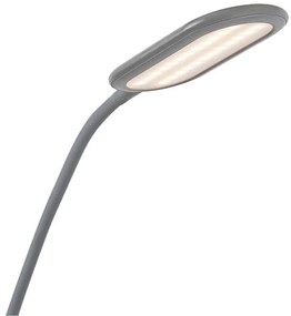 Rabalux 74010 - Állítható fényű LED érintős állólámpa ADELMO LED/10W/230V szürke