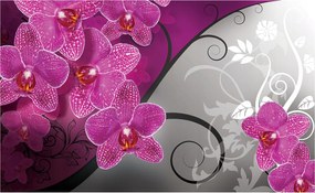 Fotótapéta Orchideák Rózsaszín-lila Fekete Perspektíva 254x184 +ragasztó