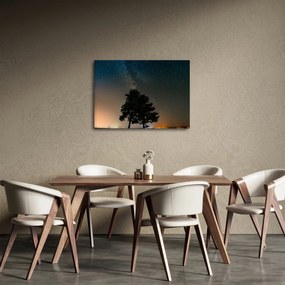 Egy éjszakai égbolt fákkal képe (70x50 cm)