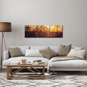 A mező képe naplementekor (órával) (90x30 cm)