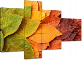 Vászonkép 100x70 Őszi színes levelek Levelek az ősz színeiben