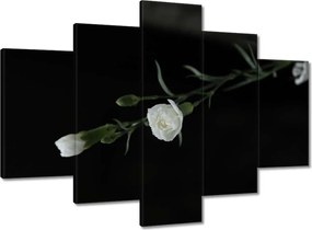 Vászonkép 150x105 Fehér szegfű virágok