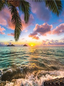 Fotótapéta Naplemente Óceán Pálmafák Tájkép Relaxáció 206x275 +ragasztó