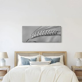 Kép - Búza, fekete-fehér (120x50 cm)