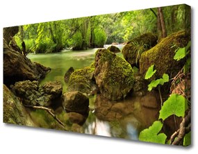 Canvas kép Rock Lake Nature 100x50 cm