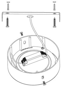 Eglo 96678 - LED RGBW Fényerőszabályozható mennyezeti lámpatest FUEVA-C LED/21W/230V BT