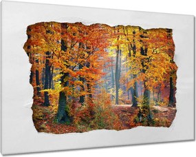 Vászonkép 90x60 Arany ősz