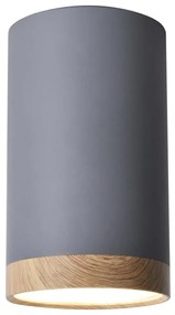 LED Mennyezeti lámpa TUBA LED/9W/230V