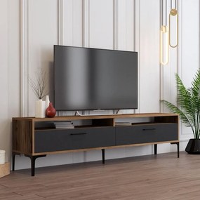 TV szekrény Istanbul 2 - Diós Antracit
