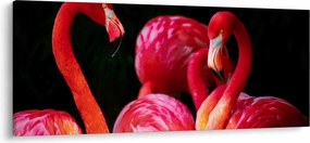 Vörös flamingók képe (120x50 cm)