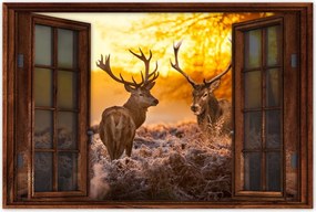 Poszterek 60x40 Szarvasok a réten