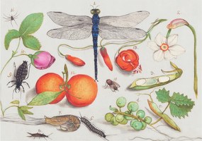 Flizelin tapéta Fali furnér 3D hatás Természeti illusztráció 208x146