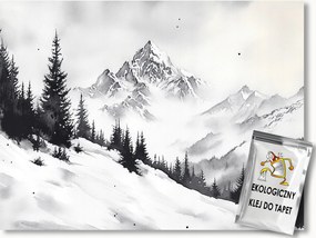 Fotótapéta Flizelina Tájkép Hegyek Lejtő Tél Hó B&amp;w 416x254 ragasztó