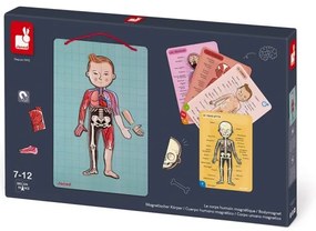 Janod - BODYMAGNET mágneses emberi test puzzle játék