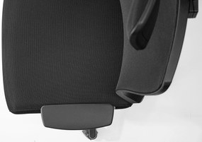 Lion 3D AirMesh irodai forgószék állítható deréktámasz, fejtámasz, kartámasz