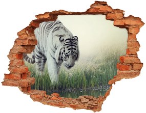 Fali matrica lyuk a falban Fehér tigris nd-c-84071201