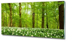 Üvegfotó Virágok az erdőben osh-83235444