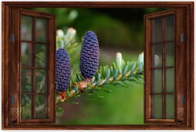 Poszterek 60x40 Lila tobozok