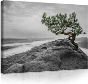 Vászonkép falikép képek hegyek csúcsok 100x75