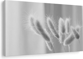 Kép - Nyuszi farok fű (90x60 cm)
