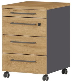 Antracitszürke-natúr színű szekrény tölgyfa dekorral 42x61 cm Agenda – Germania