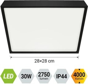 Fürdőszoba Mennyezeti Lámpa Fekete EMITHOR 49055