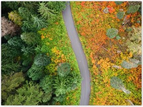 Poszterek 135x100 Út Erdő Ősz