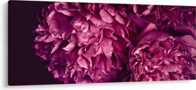 Kép - Csokor pünkösdi rózsa (120x50 cm)
