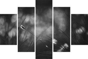 Kép - Mezei fű (150x105 cm)