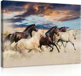 Vászonkép 70x50 Lovak futás mozgás szabadság erő por sztyepp naplemente dinamika