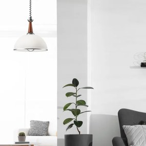 Lehúzható CHIARA csillár 1xE27/60W/230V ezüst/bükk