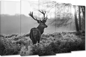 Vászonkép 150x95 Fekete-fehér szarvas