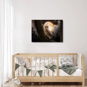 Egy gyöngybagoly képe (üvegen) (70x50 cm)