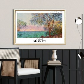 4262AHSMONET-001