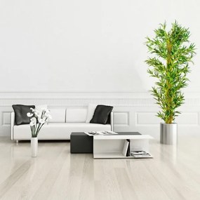 PLANTASIA Műnövény bambusz 220 cm