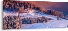 Egy kép egy téli tájról (120x50 cm)