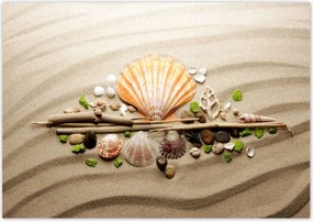 Poszterek 100x70 Kagylók Tengeri homok
